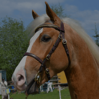 Bolsterstone Bespoke Bridles - by Jess Clancy