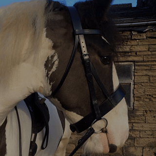 Bolsterstone Bespoke Bridles - by Jess Clancy